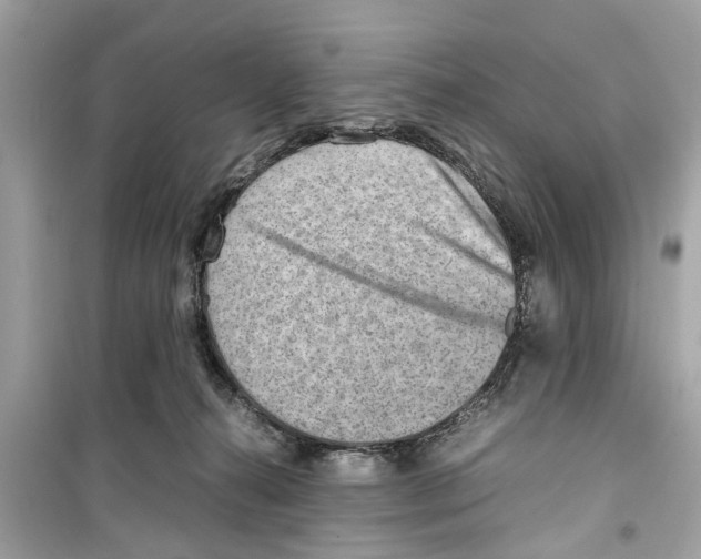 X0000098220272200805221655
