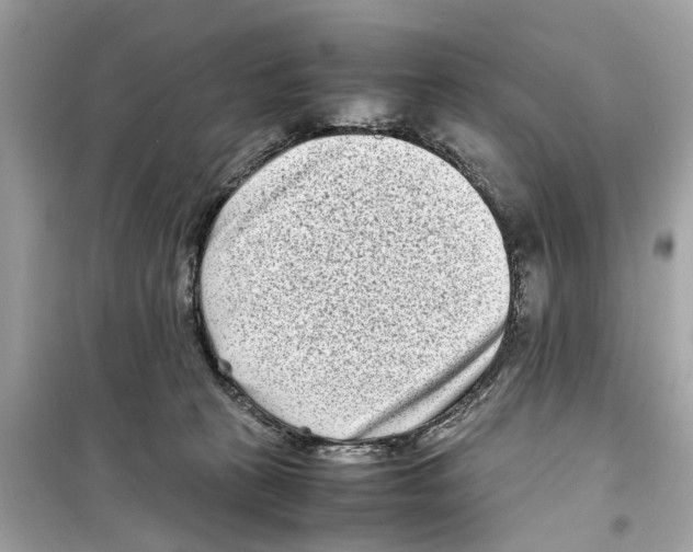 X0000098220273200805221655