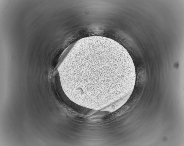 X0000098220274200805221655