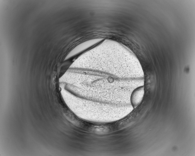 X0000098220275200805221655