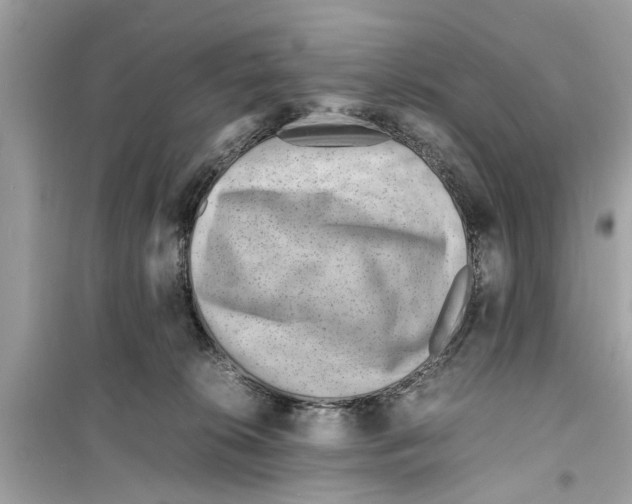 X0000098220276200805221655