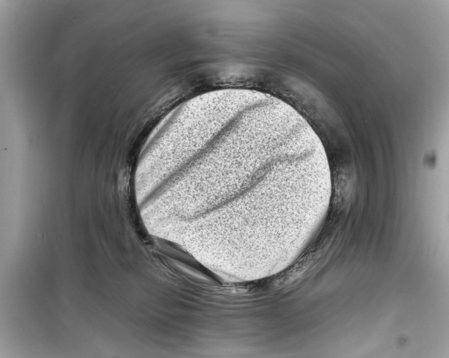 X0000098220278200805221655