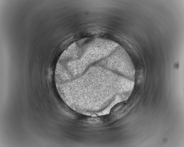 X0000098220279200805221655