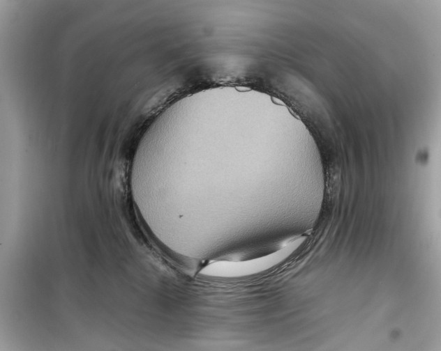 X0000098220280200805221655