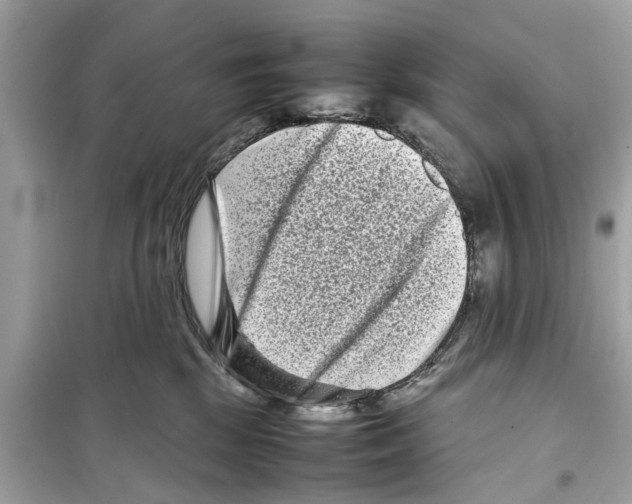 X0000098220281200805221655