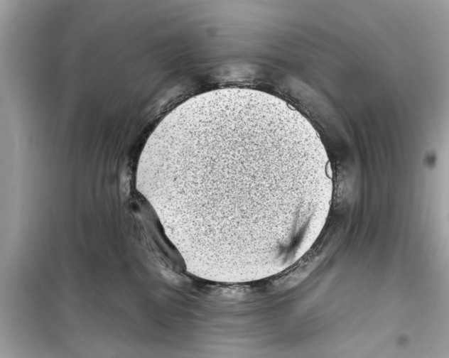 X0000098220282200805221655
