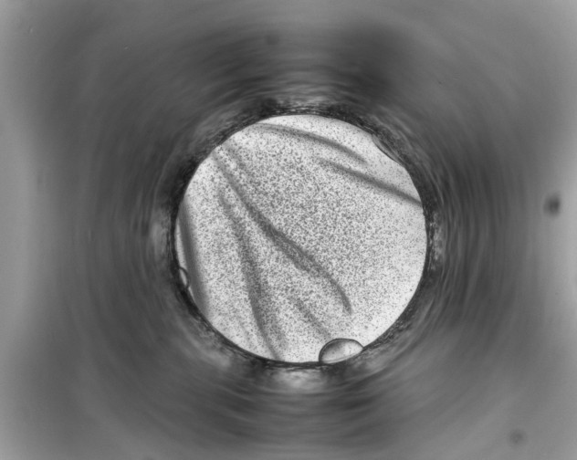 X0000098220283200805221655