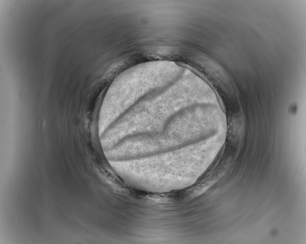 X0000098220284200805221655