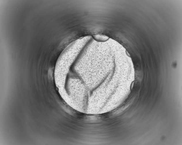 X0000098220286200805221655
