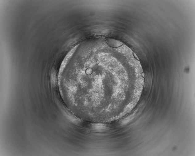 X0000098220287200805221655