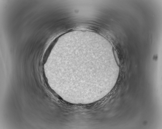 X0000098220289200805221654