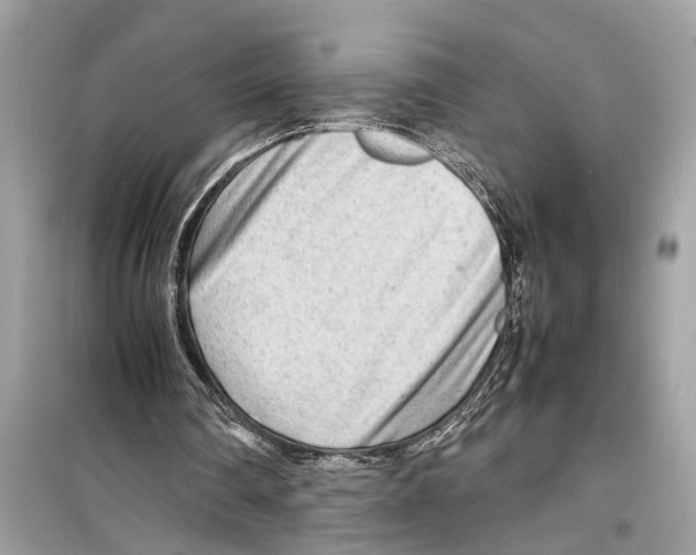 X0000098220290200805221654