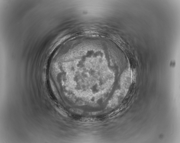 X0000098220291200805221654