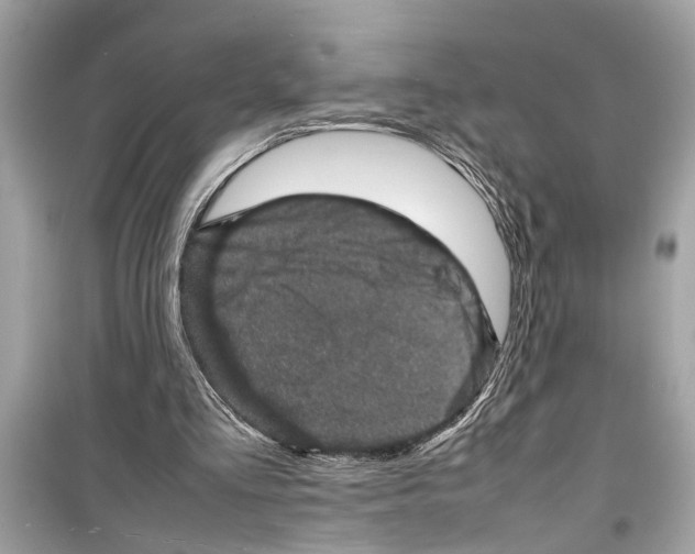X0000098220293200805221654