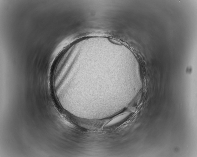 X0000098220296200805221654