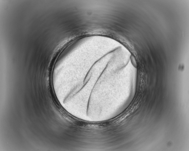 X0000098220298200805221654