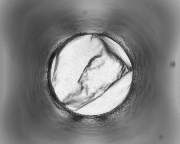 X0000098220299200805221654