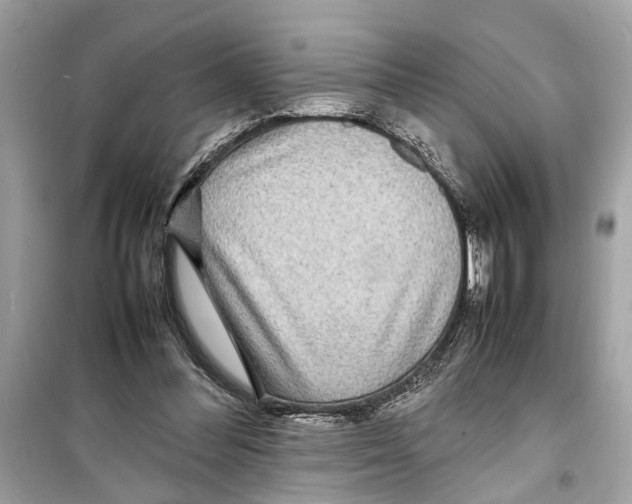X0000098220300200805221654