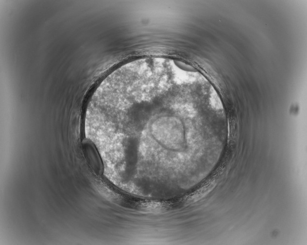 X0000098220301200805221654