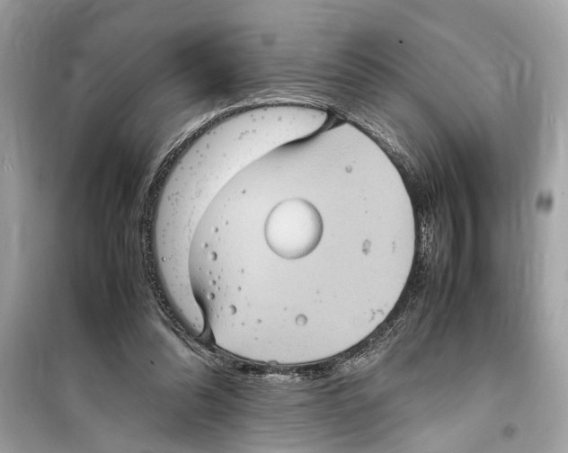 X0000098220302200805221654