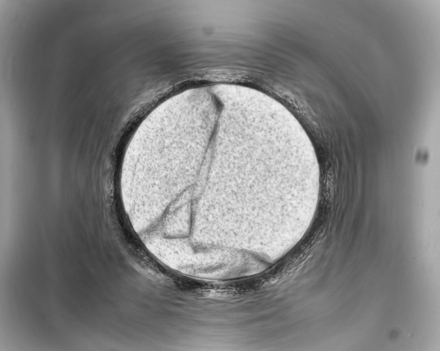 X0000098220303200805221654