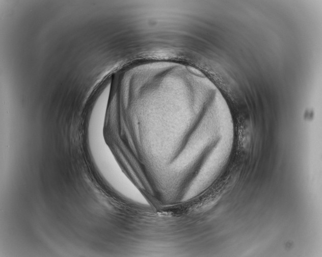 X0000098220304200805221654