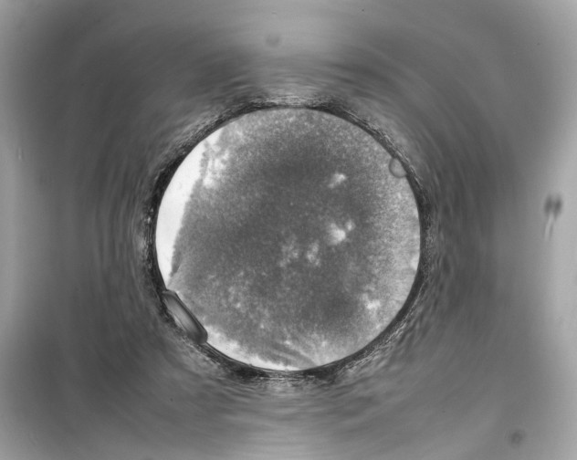 X0000098220305200805221654