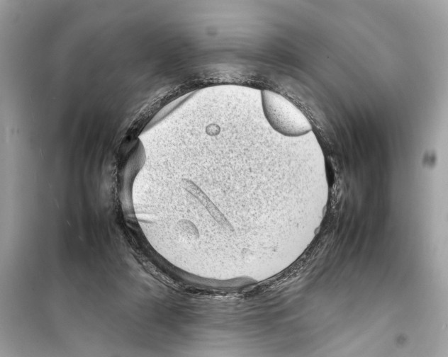 X0000098220306200805221654