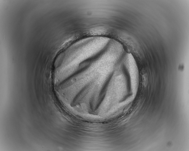 X0000098220308200805221654
