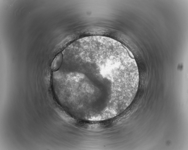 X0000098220309200805221654