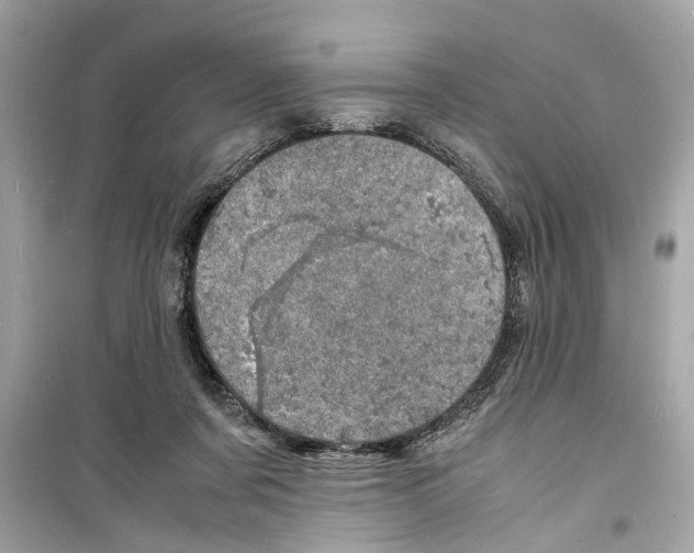 X0000098220311200805221654