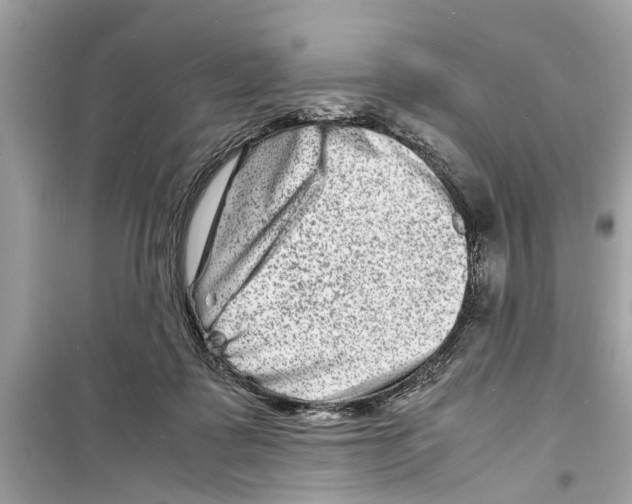 X0000098220315200805221654