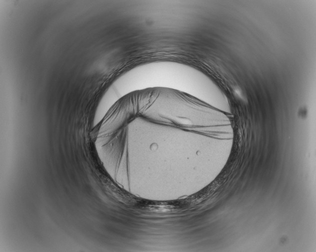 X0000098220316200805221654