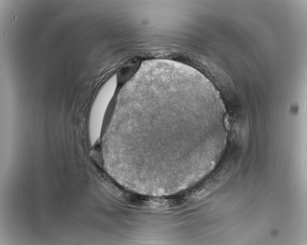 X0000098220317200805221654
