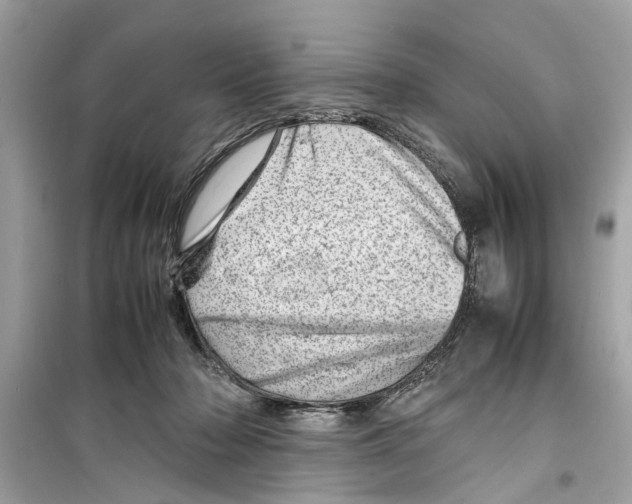X0000098220318200805221654