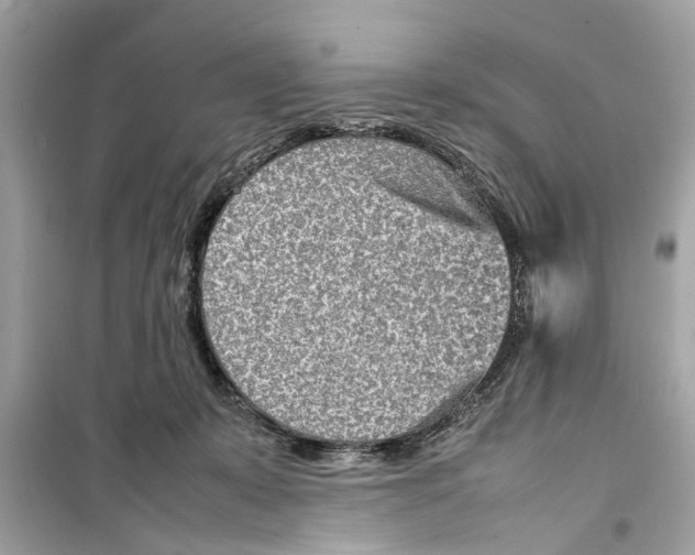 X0000098220319200805221654