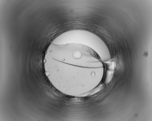 X0000098220320200805221654