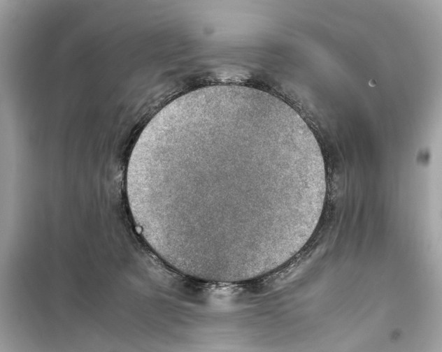 X0000098220321200805221654