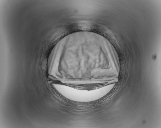 X0000098220325200805221654