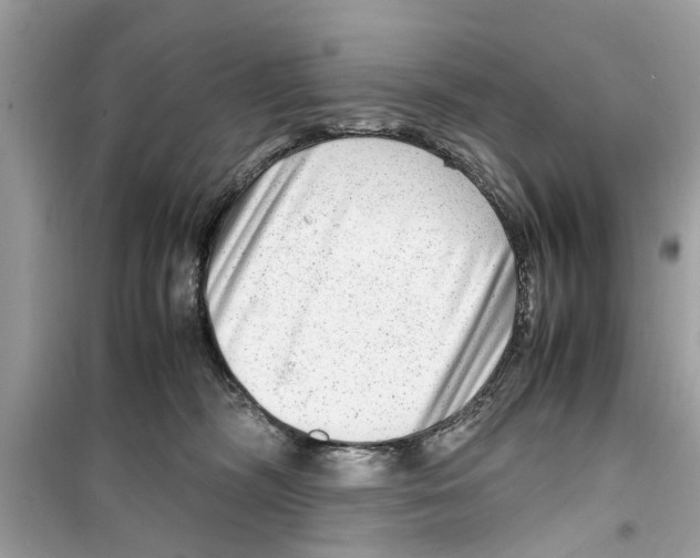 X0000098220326200805221654
