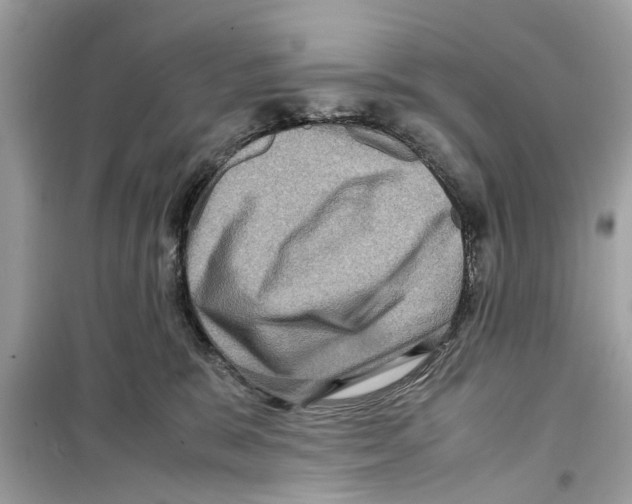 X0000098220327200805221654