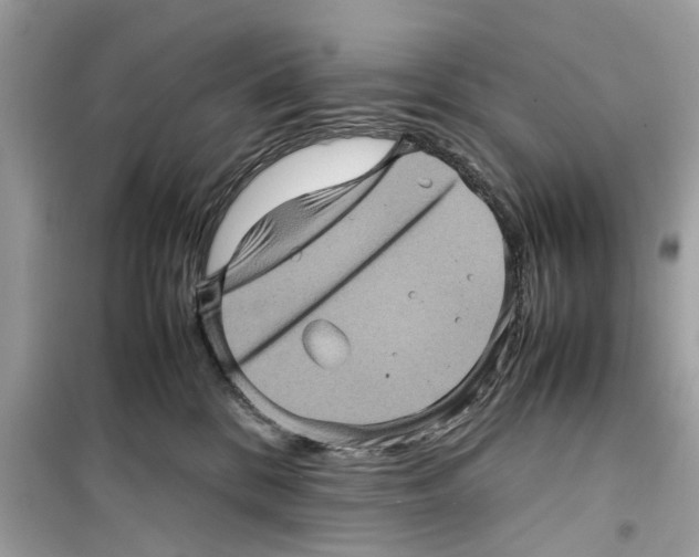 X0000098220328200805221654