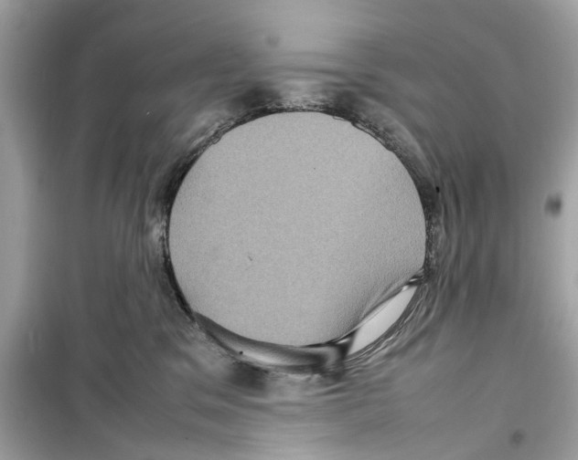 X0000098220329200805221654