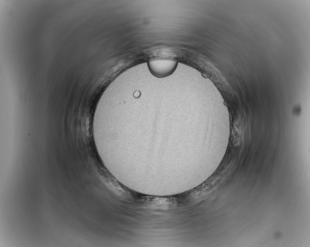 X0000098220330200805221654