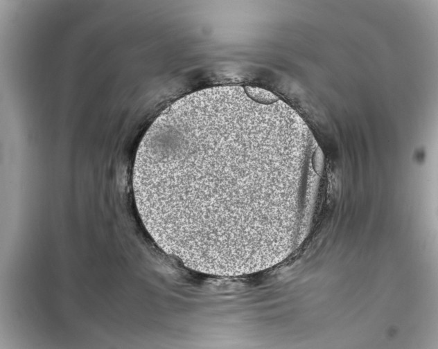 X0000098220331200805221654