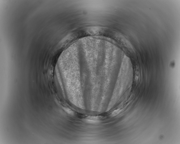X0000098220332200805221654