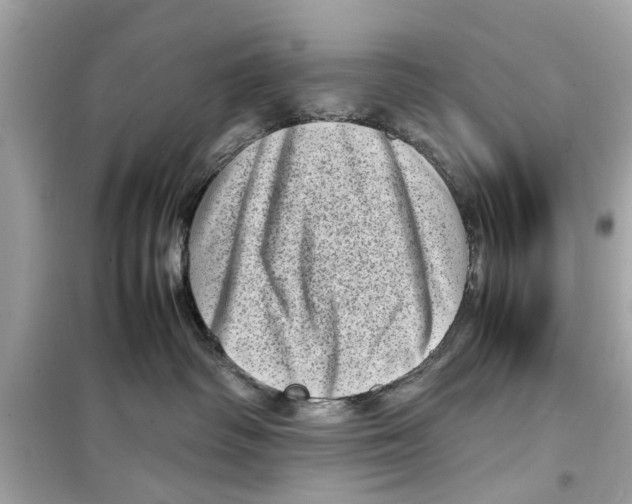 X0000098220334200805221654