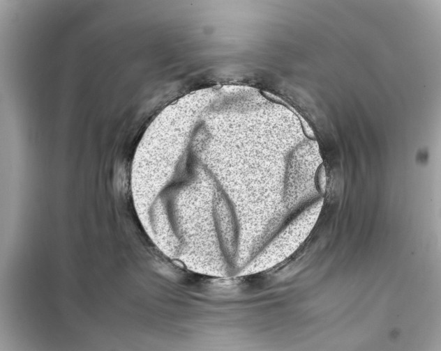 X0000098220335200805221654