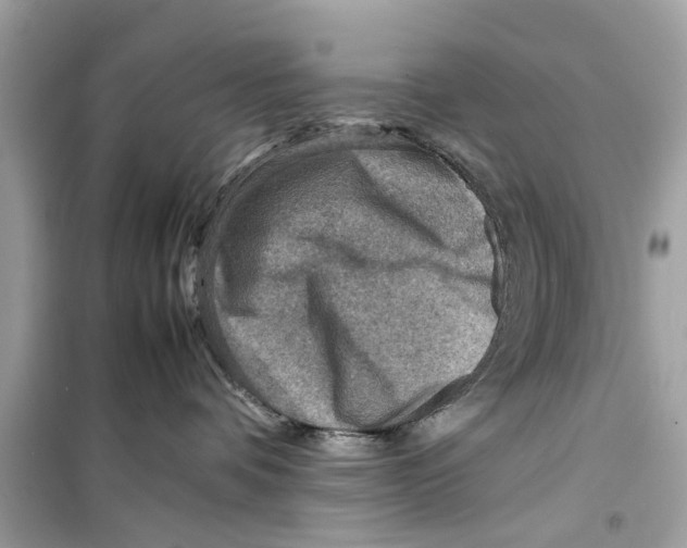 X0000098220336200805221654