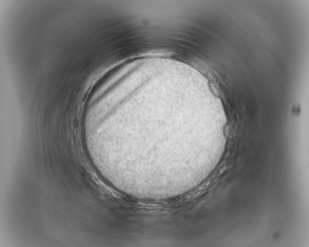 X0000098220337200805221653